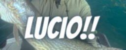 Lucio